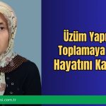 Üzüm Yaprağı Toplamaya Gitti, Hayatını Kaybetti