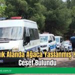 Çamlık Alanda Ağaca Yaslanmış Halde Ceset Bulundu
