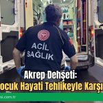 Akrep Dehşeti: Küçük Çocuk Hayati Tehlikeyle Karşı Karşıya