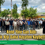 Kene Yine Can Aldı: Bir Kişi Daha Hayatını Kaybetti