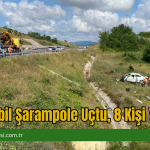 Otomobil Şarampole Uçtu, 8 Kişi Yaralı