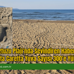 İztuzu Plajı’nda Sevindiren Haber: Caretta Caretta Yuva Sayısı 300’e Yükseldi