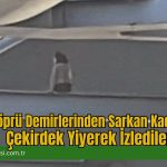 Köprü Demirlerinden Sarkan Kadını Çekirdek Yiyerek İzlediler