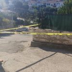 Muğla’da Domuz Korkusu Kazaya Yol Açtı: Genç Kız Beton Zemine Düştü