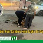 Ağızlıksız Pitbull Hem Sahibine Hem Başka Bir Köpeğe Saldırdı