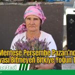 Menteşe Perşembe Pazarı’nda Devası Bitmeyen Bitkiye Yoğun Talep