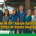 Türkiye’nin İlk VİP’i Hayvan Barınağı Projesi, Fethiye’de Hayata Geçecek