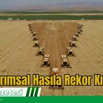 Tarımsal Hasıla Rekor Kırdı – Muğla Gazetesi