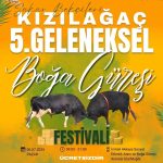 Ula’da Boğa Güreşi Heyecanı Başlıyor